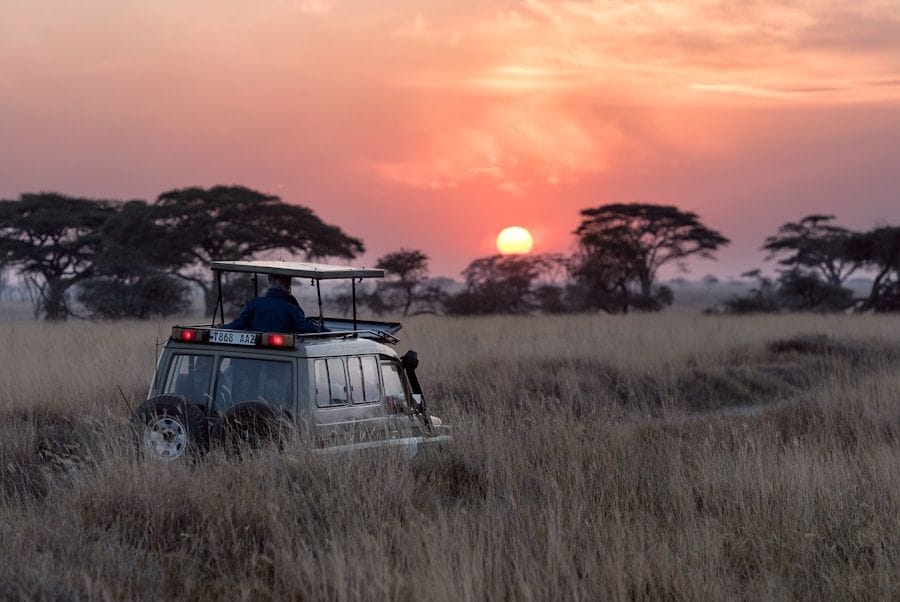 Safari vehicle pausing on open savannah as the sun drops